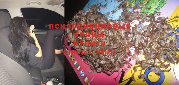 крисы Пестово