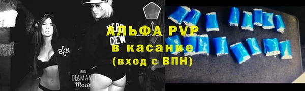 крисы Пестово