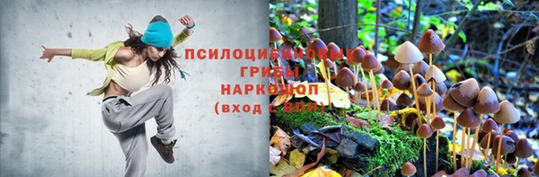 крисы Пестово