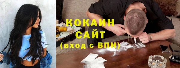 прущие крисы Пересвет