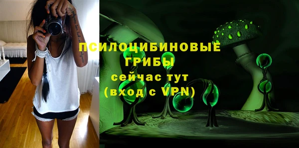 крисы Пестово