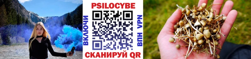Псилоцибиновые грибы Psilocybine cubensis  Купить  Ардатов 